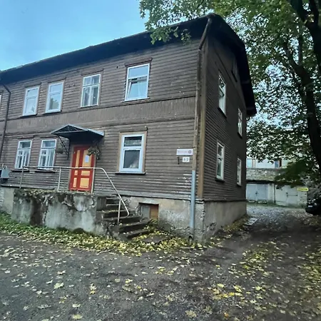 Laura Comfy Kappeli 8-2 Near Airport, Next To The Bus Station דירה *