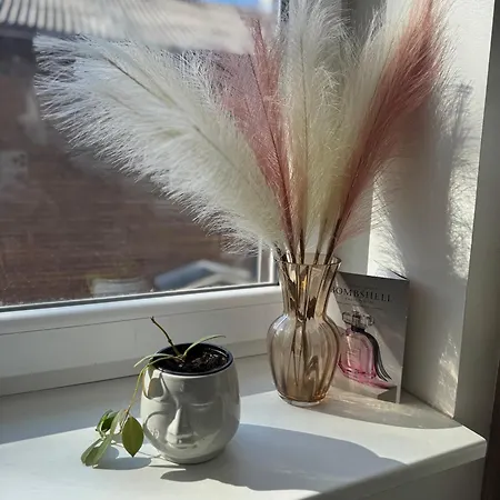 Laura Comfy Kappeli 8-2 Near Airport, Next To The Bus Station Apartman