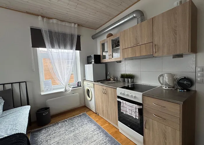 Laura Comfy Kappeli 8-2 Near Airport, Next To The Bus Station Appartement